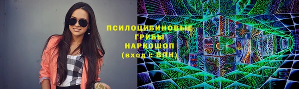 винт Богданович